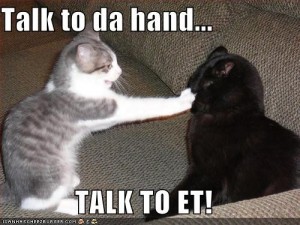 cat-talk-to-the-hand