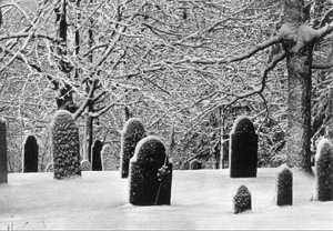 winter_graveyard